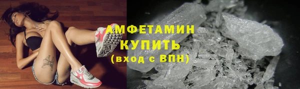 шишки Балахна
