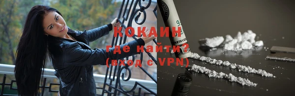шишки Балахна