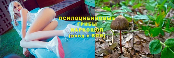 шишки Балахна
